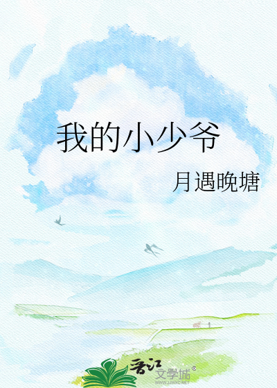 我的小少爷