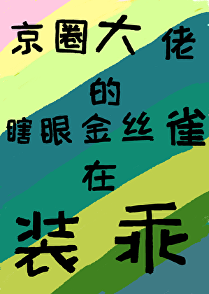 京圈大佬的瞎眼金丝雀在装乖
