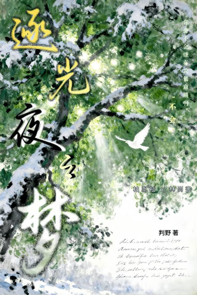 逐光夜之梦