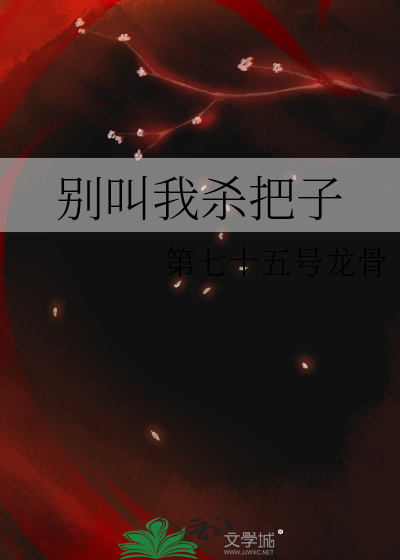 别叫我杀把子