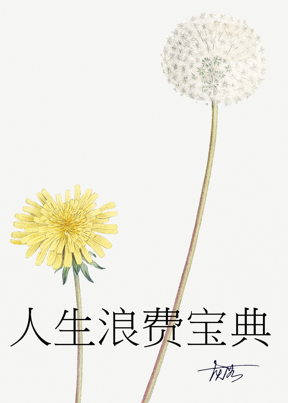 人生浪费宝典
