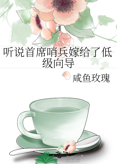 听说首席哨兵嫁给了低级向导