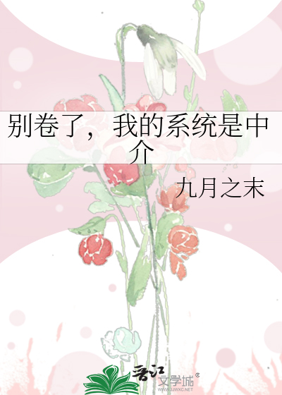 别卷了，我的系统是中介
