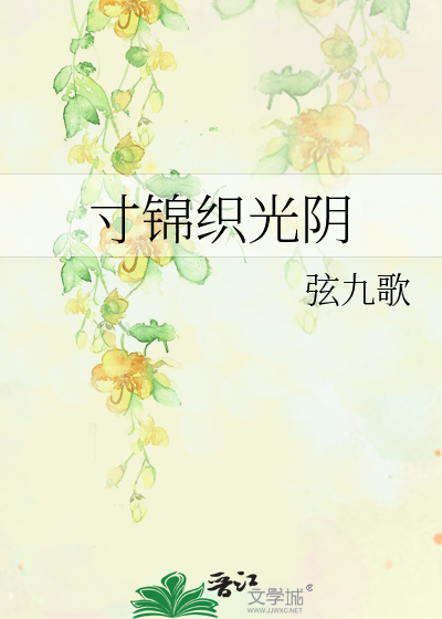 寸锦织光阴