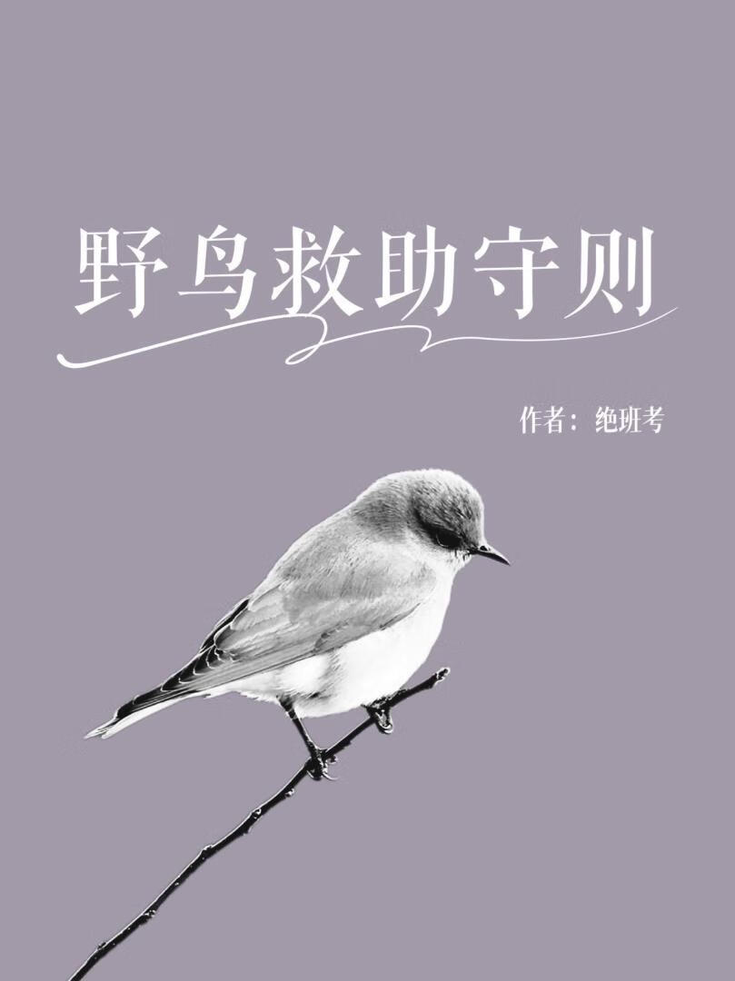 野鸟救助守则