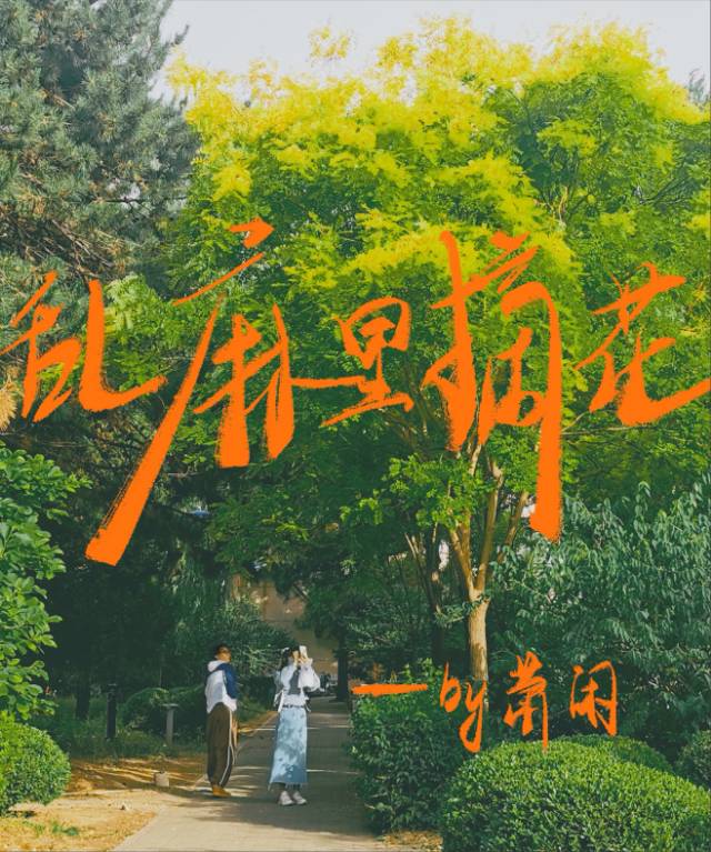 但是啊，请你不要担心