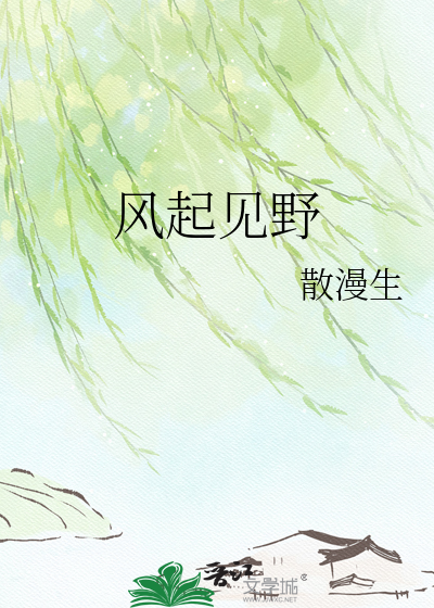 风起见野