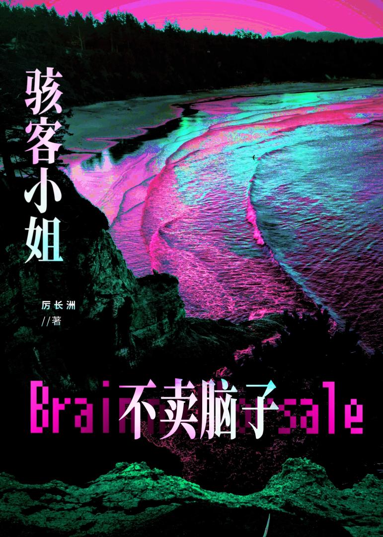 骇客小姐不卖脑子[赛博]