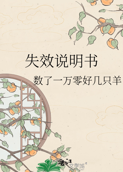 失效说明书