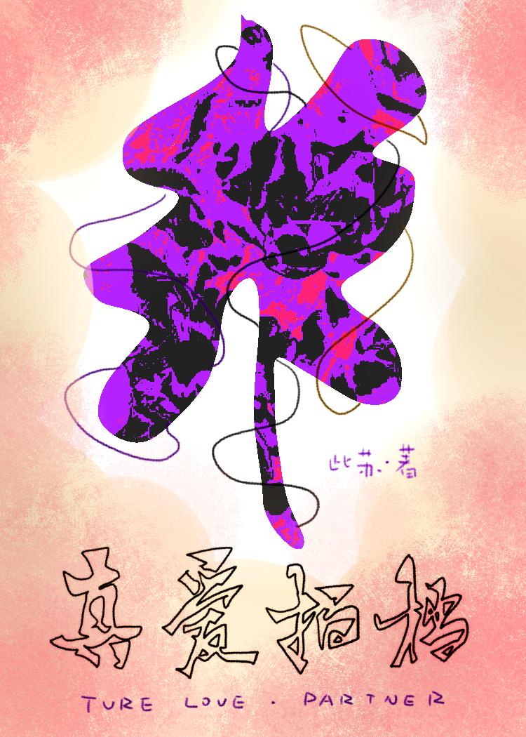 真爱拍档