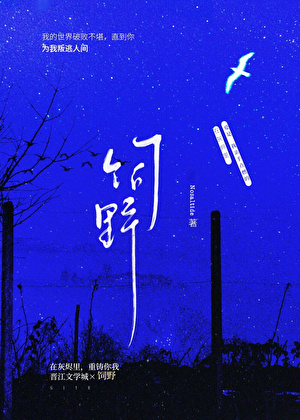 荒原饲养指南