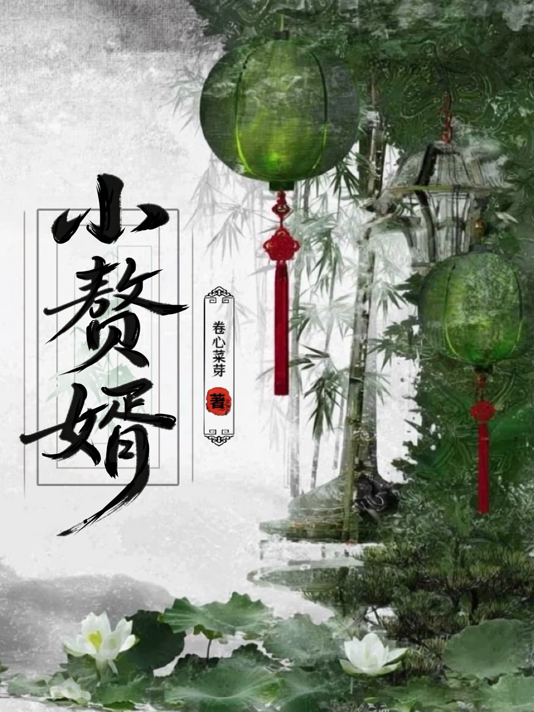 小赘婿