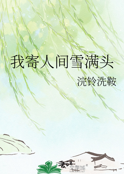 我寄人间雪满头