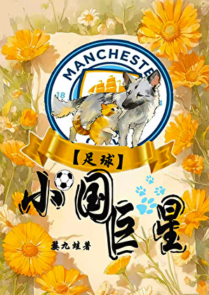 ［足球］小国巨星