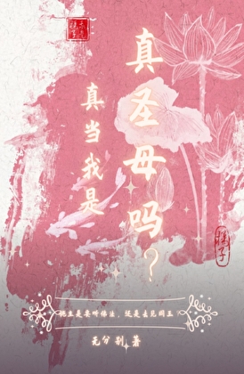 真当我是真圣母吗？