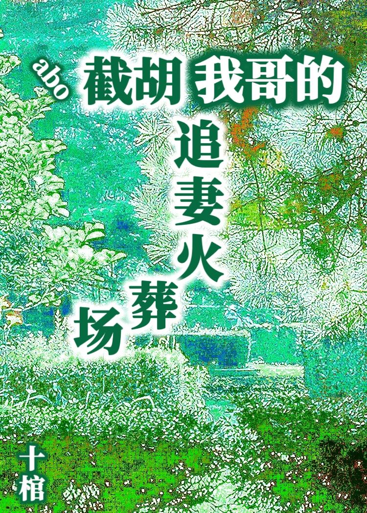 截胡我哥的追妻火葬场