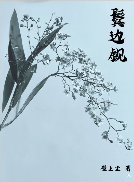 鬓边觑