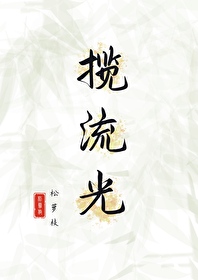 揽流光三千路透