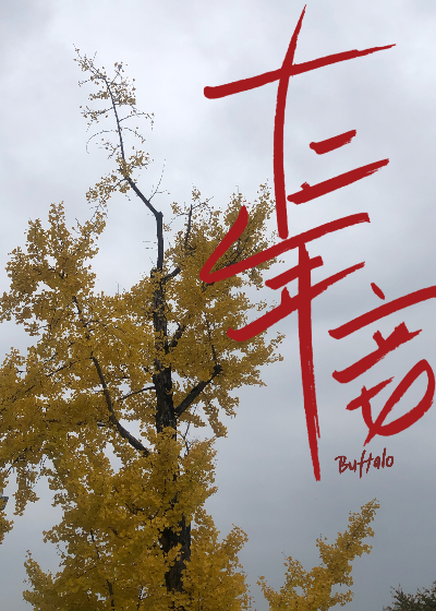 十二年妾