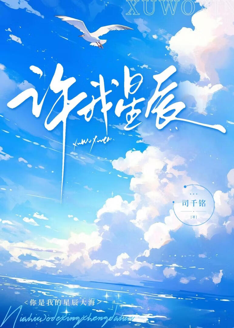 许我星辰
