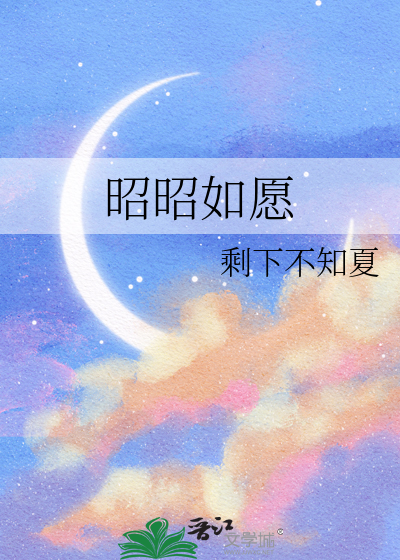昭昭如愿