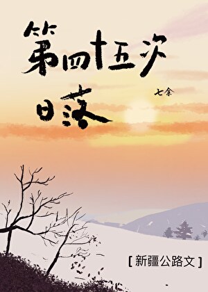 第四十五次日落[公路]