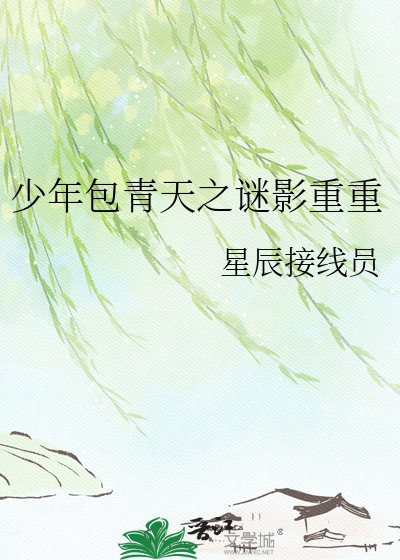 少年包青天之谜影重重