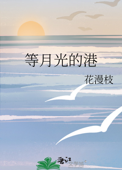 等月光的港