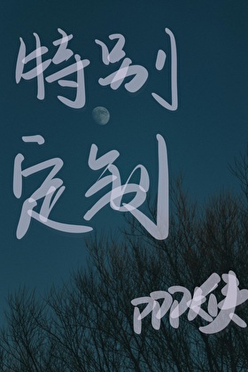 特别定制