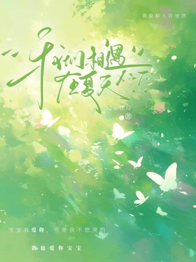我们相遇在夏天