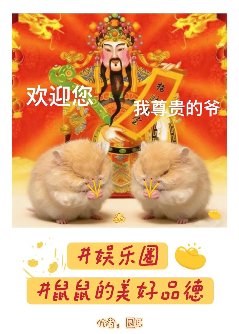 [娱乐圈]鼠鼠的美好品德