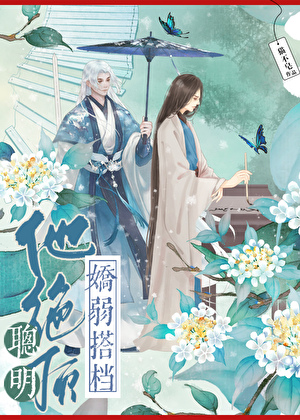娇弱搭档他聪明绝顶