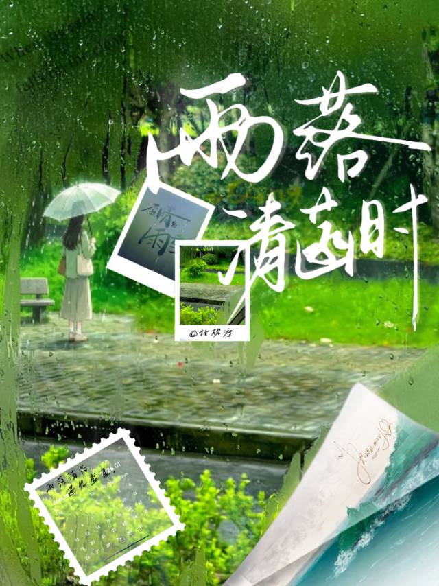 《雨落清菡时