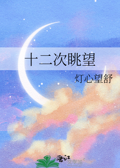 十二次眺望