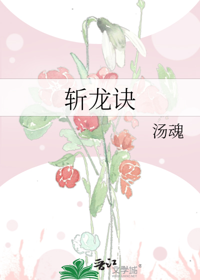 斩龙诀红尘