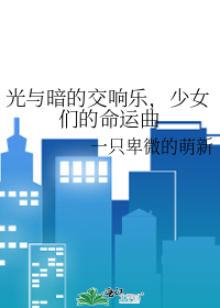 光与暗的乐章