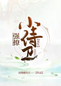 偏爱小说笔趣阁全文免费阅读
