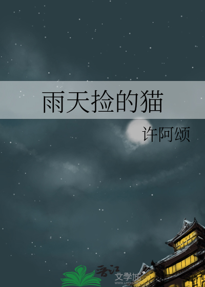 雨天捡猫英文