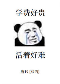 机甲维修的小说