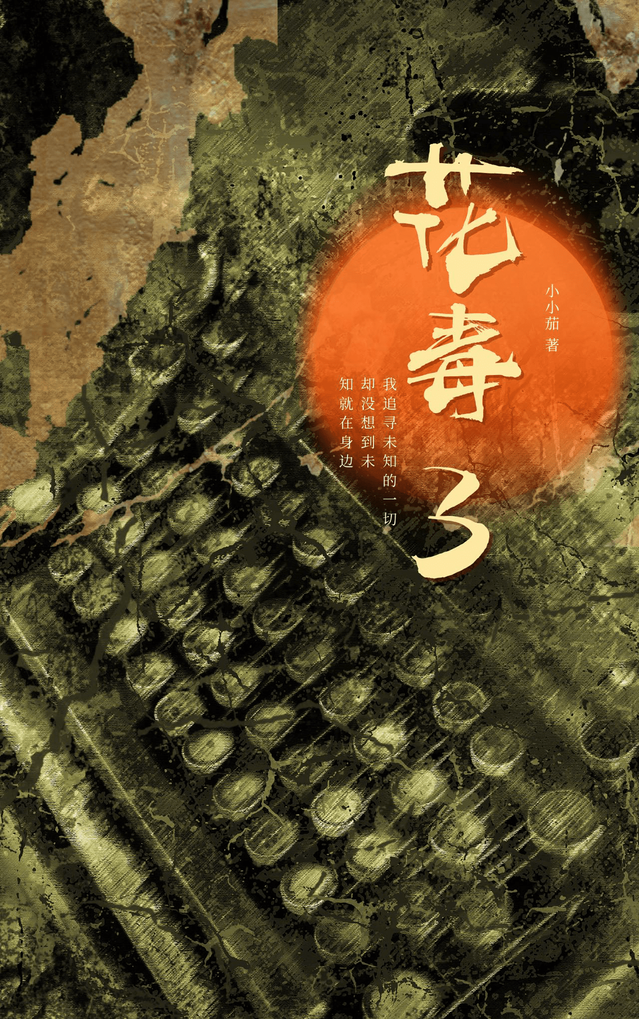 金蝉花功能主治