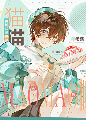 宝可梦之努力成为大明星的日子