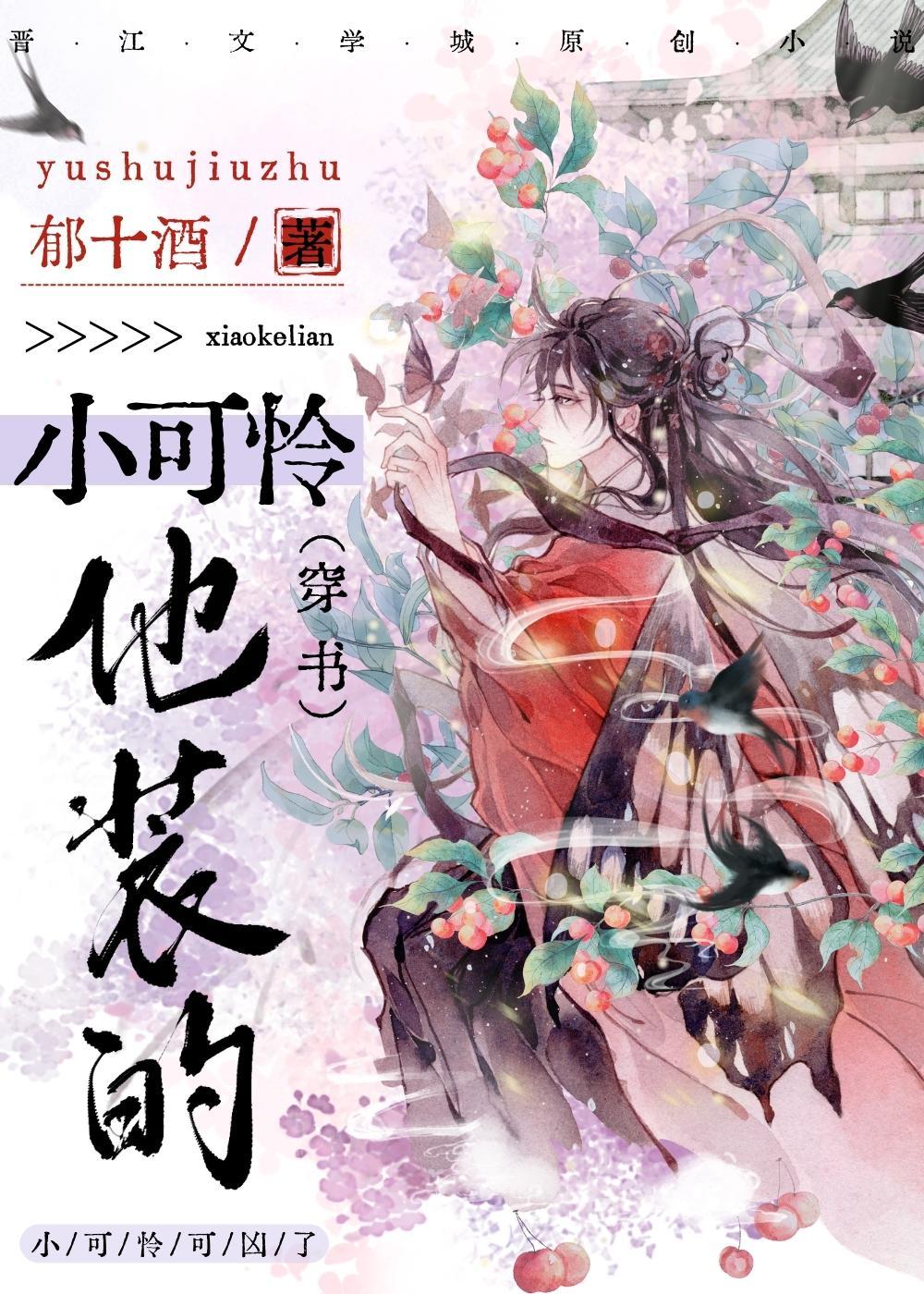 穿书指南