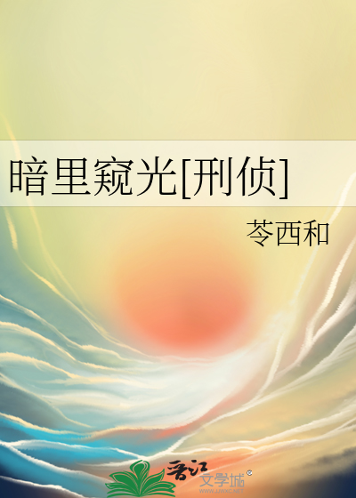 暗中窥伺哪个字错了